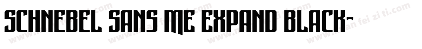 Schnebel Sans ME Expand Black字体转换
